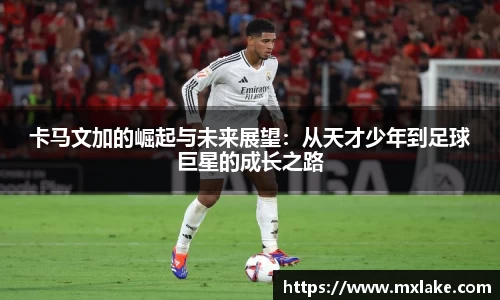 tyc122cc太阳成集团官网